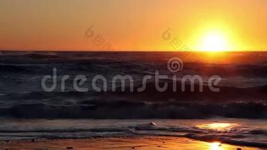 俄勒冈州海滨金色沙滩上的金色夕阳
